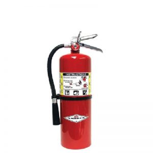 amerex-10lb-abc-dryy-extinguisher