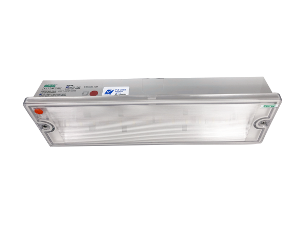 Denko EMCEL 16NM Surface Mounted Emergency Light