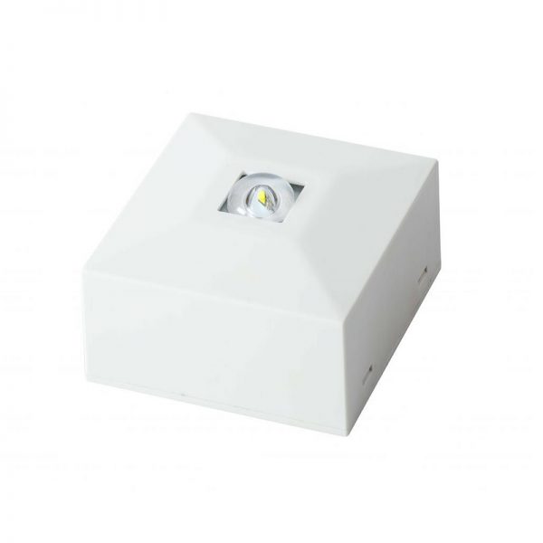 EML 313 Wall Ceiling Emergency Lights with recessed kit