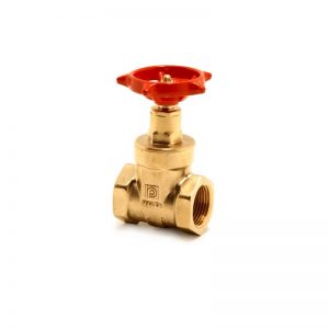 Pegler Gate Valve 1065