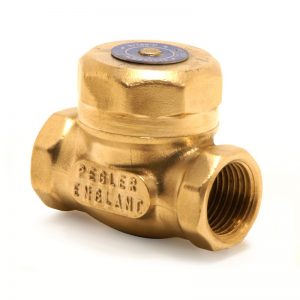 pegler-1062pt-1-2-swing-check-valve