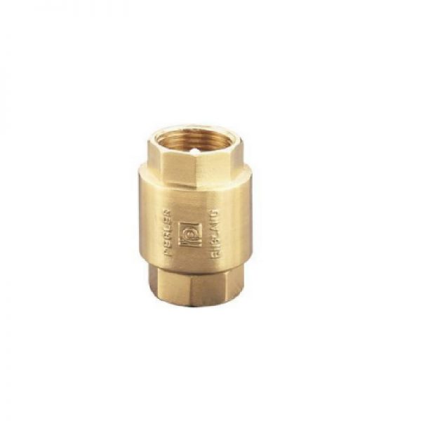 Pegler 1063 Non-Return Valve PN10 - 2 Inches