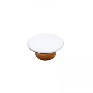 fire-sprinkler-white-cover-plate