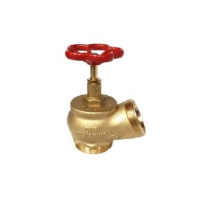 2-inches-awg-landing-valve-with-2storz-connection-brass