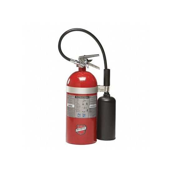 Buckeye 45600 Carbon Dioxide Fire Extinguisher 10 lb. Capacity UL Listed