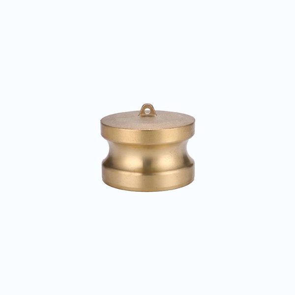 2.5 Inch Type DP Camlock Fitting - Brass