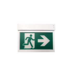 fonux-esa-10-maintained-emergency-exit-light