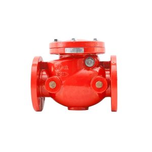 rapidrop-302-ansi-swing-check-valve-flanged-3-inch