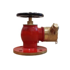 2-½-inch-fire-hydrant-valve-right-angle-landing-valve-brass-c-w-female-adaptor