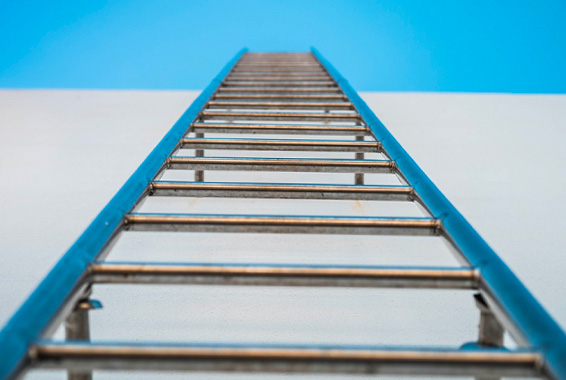 Fire escape ladder