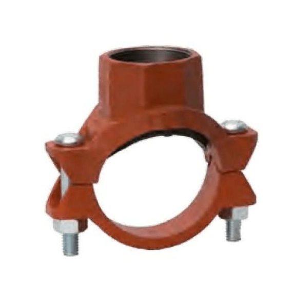 National - Grooved Mechanical Tee Threaded Outlet, 3in x 2in - N-ST16 (MOQ of 4 Pcs)