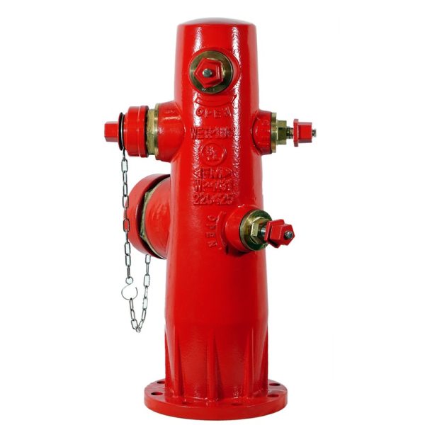 Wetplug - 2-1/2" Instantaneous Brass Coupling NST Female Threaded One End, BS336 Instantaneous Connection Other End with Brass Metal Cap and SS Chain